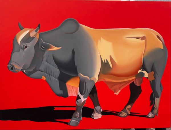 Cow