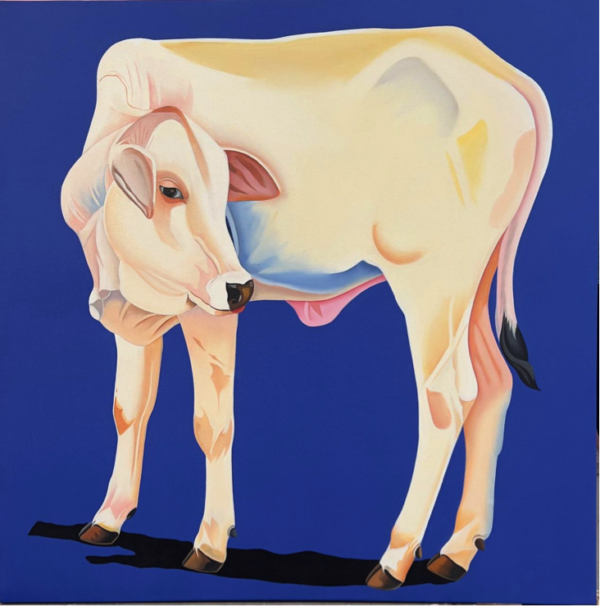 Cow